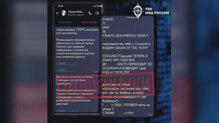 Аферисты начали обманывать воронежцев под предлогом скрытой подписки на онлайн-сервисы