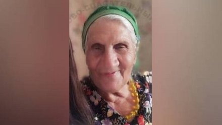 Воронежцев попросили помочь в поисках потерявшейся 85-летней старушки с дворняжкой