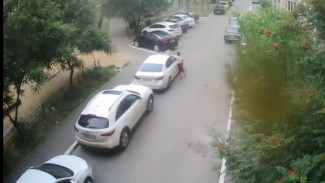 В Воронеже пьяная женщина атаковала припаркованные во дворе машины 