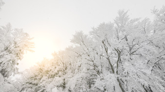 Прогноз погоды в Воронеже на 3.01.2026.