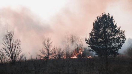 В Белгородской области начался пожар на объекте Минобороны: есть раненый