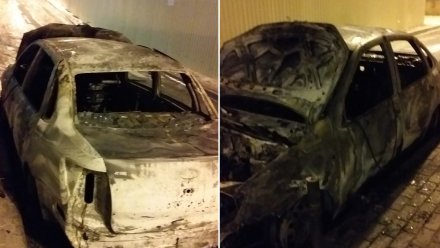 В Воронеже после поджога автомобиля многодетной семьи возбудили дело
