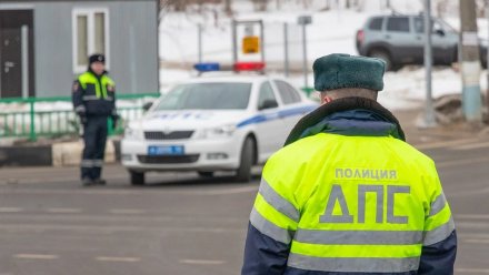 Инспектор ДПС сбил пьяного водителя мопеда в Воронежской области