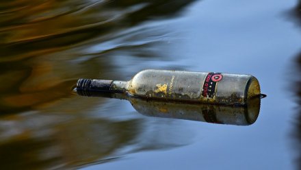 Трое детей отравились алкоголем в Воронеже