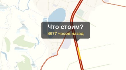Итоги года. Какой главный рекорд в 2018 году установила Воронежская область