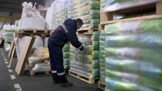 В Воронежскую область ввезли рекордное количество импортных семян