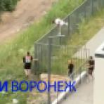 Поджоги, грязь и вандализм. Воронежский ЖК терроризирует банда подростков
