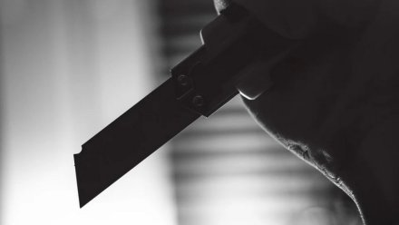 В воронежском микрорайоне «Озерки» подросток напал с кухонным ножом на знакомого
