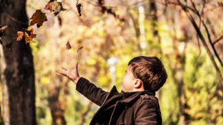 Карнавальное шествие и водолаз в галошах. Как школьникам провести каникулы в Воронеже