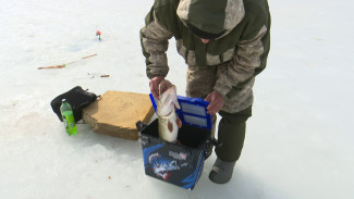 Коварство и никакой гарантии. Почему рыбаки выходят на лёд в плюсовую температуру в Воронеже