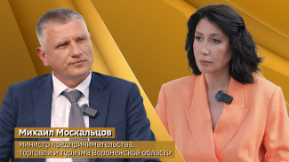 «Бойтесь маленьких доходов». Как министерство туризма поддерживает воронежских бизнесменов