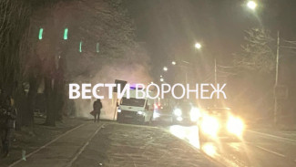 Коммунальщики прокомментировали ЧП с ошпаренными кипятком детьми в Воронеже