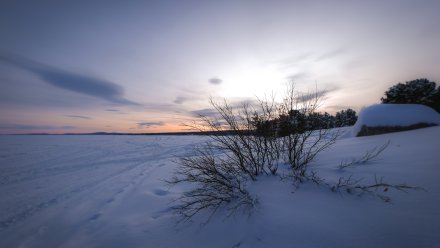 Ночью над двумя районами Воронежской области отразили атаку ВСУ