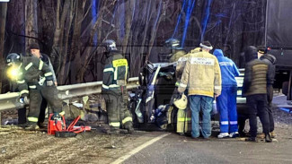 Человек погиб в ДТП на трассе под Воронежем