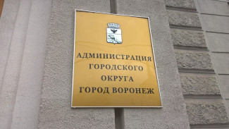 Самым богатым вице-мэром Воронежа стал руководитель аппарата Сергей Глазьев