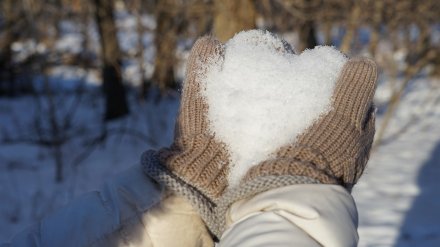 Воронежцев позвали на уборку одного из крупнейших городских парков