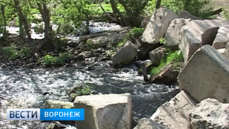 На одной из рек Воронежской области донской рыбе перекрыли путь на нерест