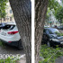 Упавшая ветка дерева разбила два авто в центре Воронежа