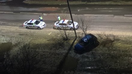 В Воронеже кусты помешали пьяному автомобилисту сбежать от полицейских