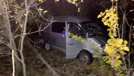 Водитель «Газели» разбился насмерть на воронежском участке М-4 «Дон»