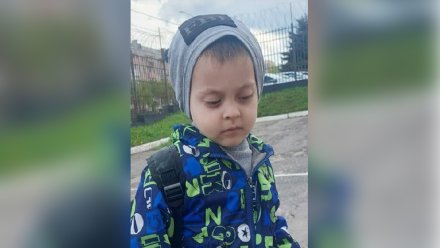 Мать найденного в Воронеже 4-летнего мальчика оставила его няне и пропала без вести