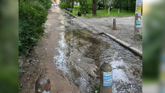 Воронежцы забили тревогу из-за недельного фекального потопа у Дома детского творчества