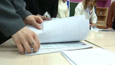Избирком подвёл итоги второго дня голосования в Воронежской области