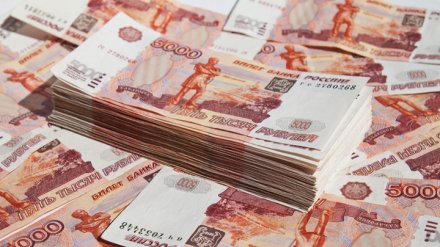 Ущерб от экономических преступлений в Воронежской области составил 1 млрд рублей