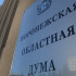 Воронежская облдума приняла законы в сферах соцподдержки и благотворительности