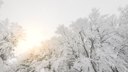 Прогноз погоды в Воронеже на 19.02.2026