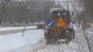 В Воронеже дочь пострадавшей в ДТП с трактором объяснила, как мать оказалась на дороге