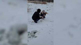 Воронежские экологи выяснят причину замора рыбы в реке Битюг