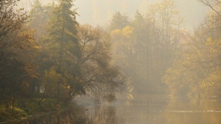 Синоптики пообещали воронежцам туманную и дождливую рабочую неделю