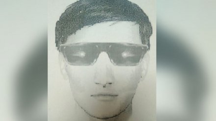В Воронеже осудили насильника-рецидивиста, напавшего на девушку на улице Ломоносова