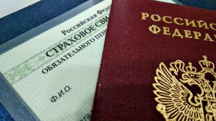 В России отменили бумажный СНИЛС