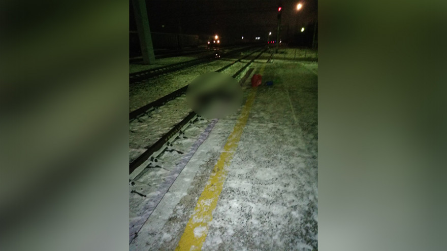 Под Воронежем грузовой поезд переехал мужчину