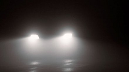 Под Воронежем Toyota сбила перебегающего трассу мужчину