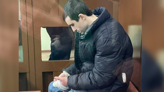 Убийцу 17-летней девушки в Воронеже отправили в СИЗО