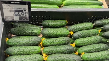 В Воронежской области снова взлетели цены на огурцы