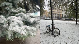 В Воронеже пошёл первый снегопад 