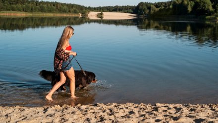 В Воронеже запретили купаться на 4 пляжах