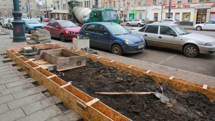 Место для высадки клёнов на проспекте Революции в Воронеже оформили по-новому