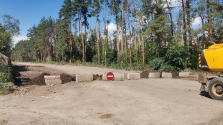 Движение по дороге в Северном микрорайоне Воронежа закроют до конца года