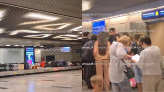 Туристка из Воронежа осталась без багажа из-за ошибки в аэропорту Внуково