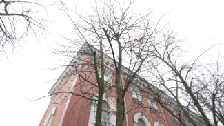 В Воронеже на улице Комиссаржевской под угрозой вырубки более 10 аварийных каштанов