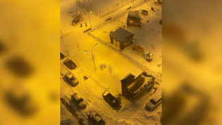 Жильцы воронежского ЖК решили массово выйти на уборку снега