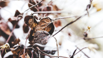 Прогноз погоды в Воронеже на 20.11.2025