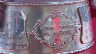 Как Воронежская область встретила Кубок России по футболу