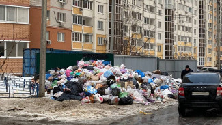 «Экотехнологии» объяснили, почему неделю не вывозили мусор с воронежских дворов 