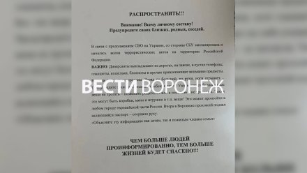 В Воронеже распространили фейк о начале волны терактов